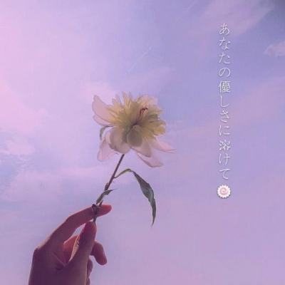 开云网kaiyun手机app下载